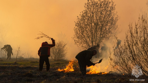    В Котельниче загорелись постройки на заброшенных дачных участках
