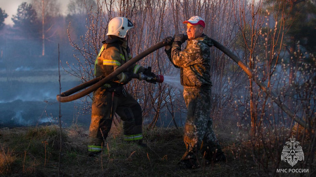    В Котельниче загорелись постройки на заброшенных дачных участках