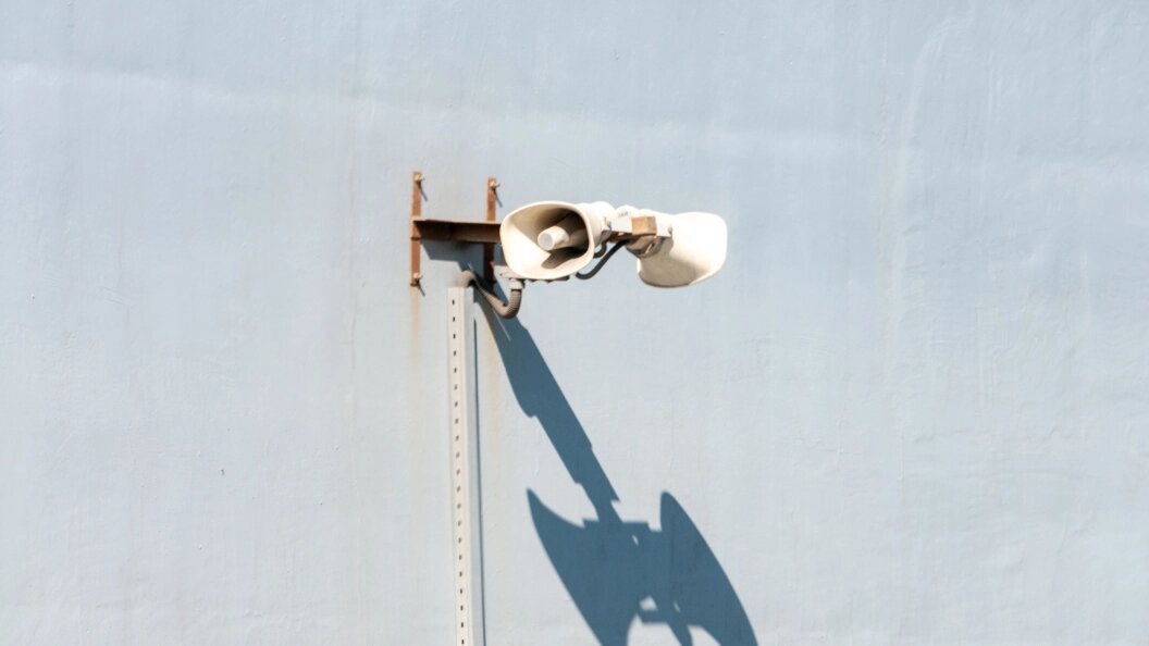    Фото: Svetlana Vozmilova /Globallookpress