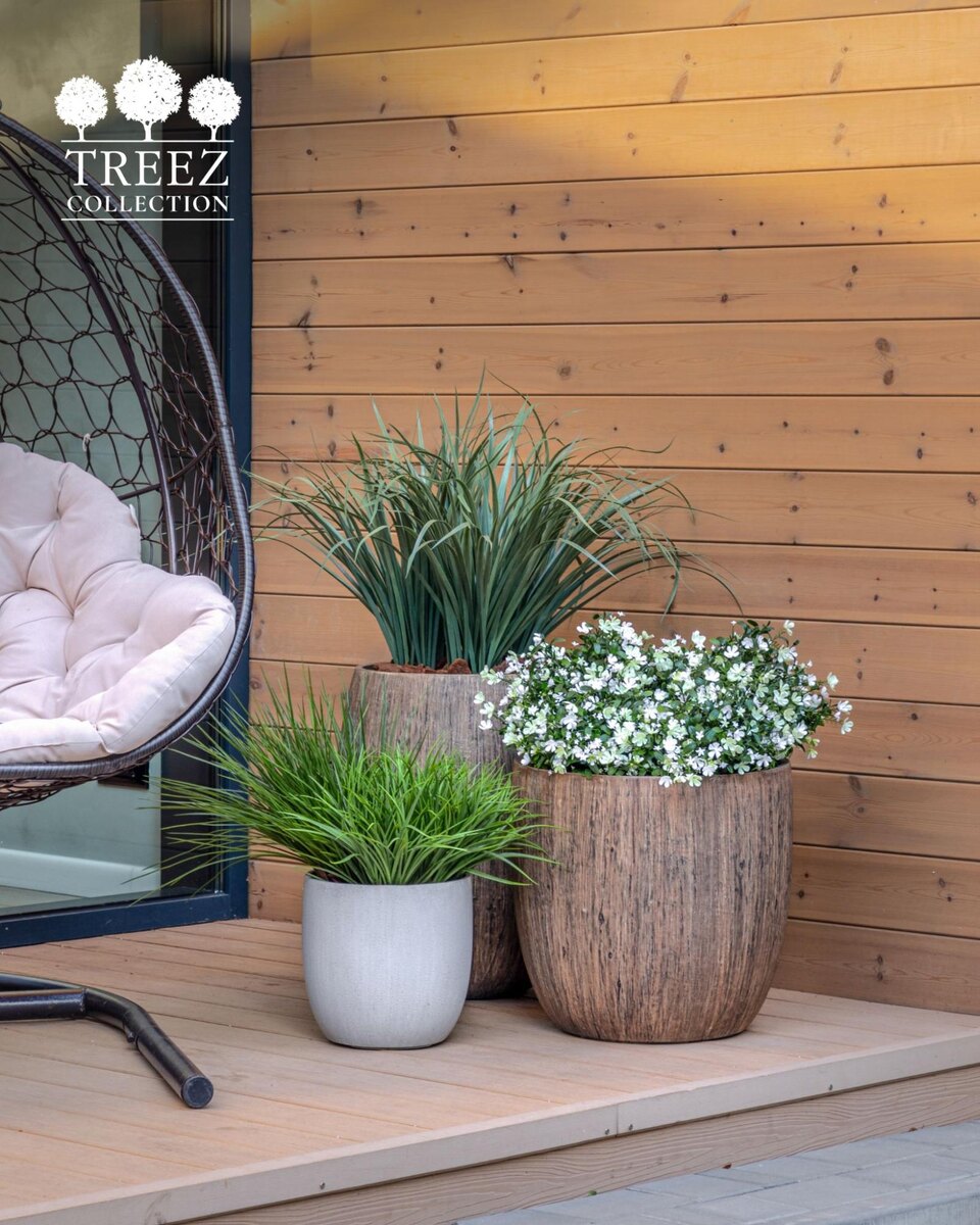 Кашпо и растения Treez Collection
