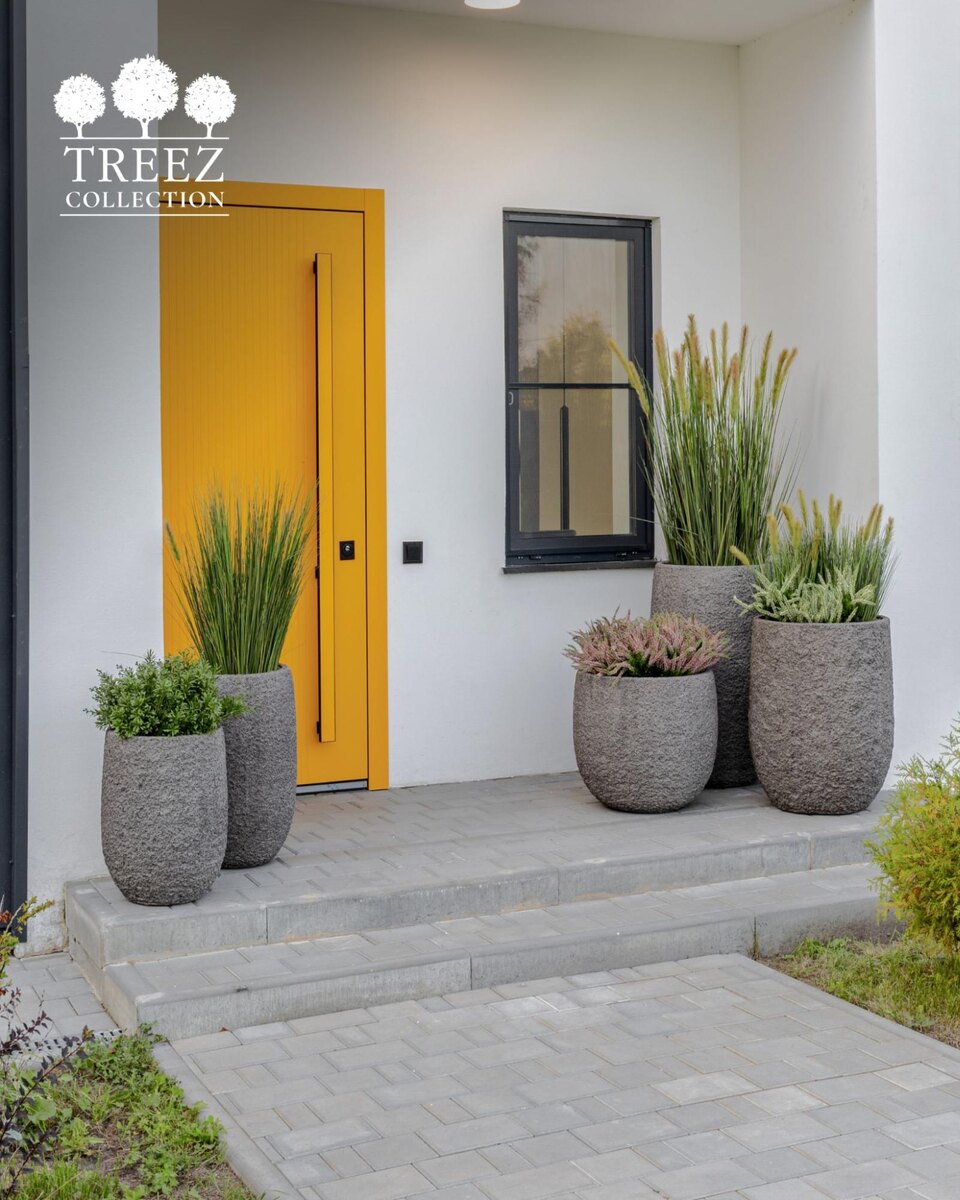 Кашпо и растения Treez Collection