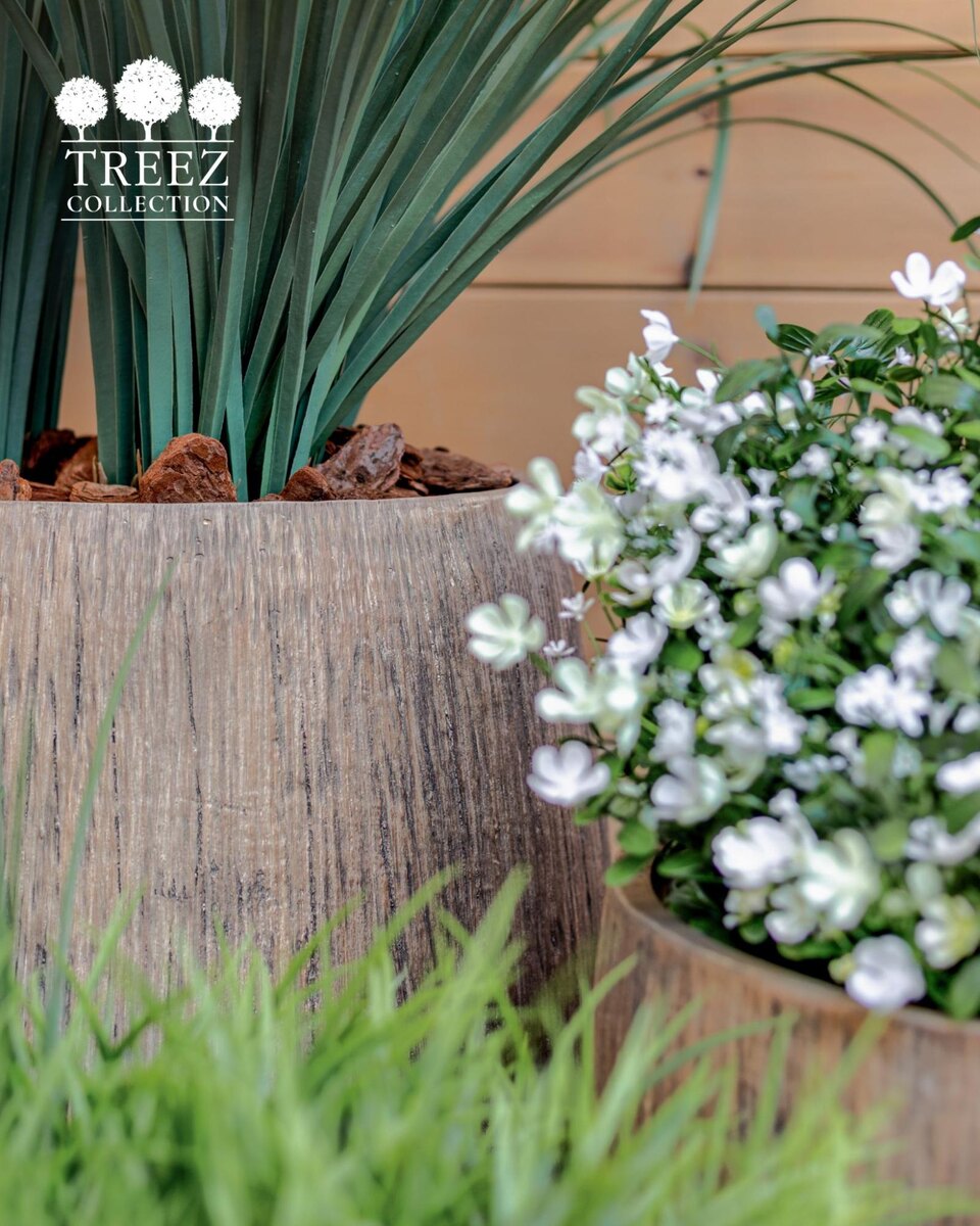 Кашпо и растения Treez Collection