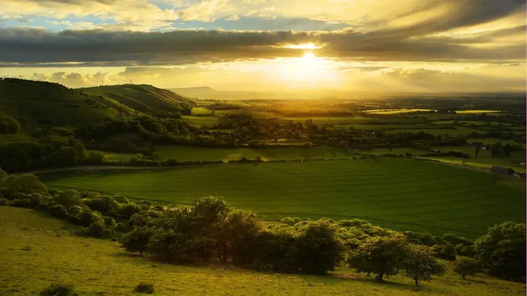    Matt Gibson\shutterstock