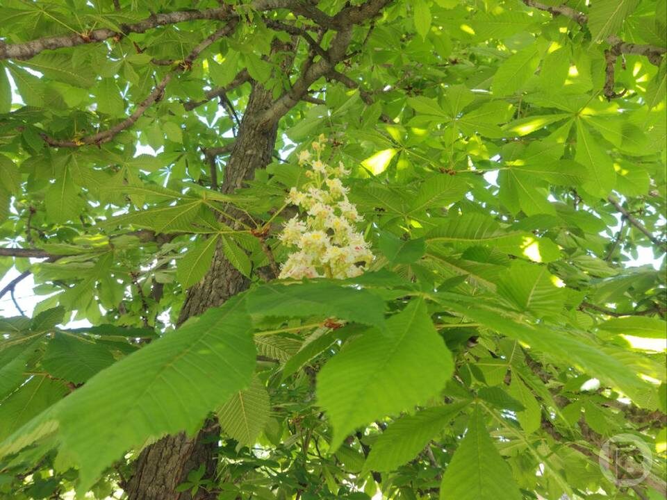    Фото: "Городские вести"