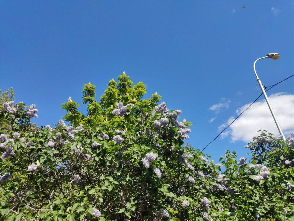    Фото: "Городские вести"
