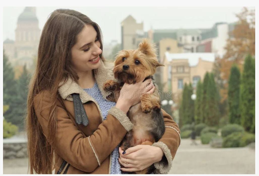 из интернета