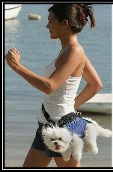 модница... картинка из интернета