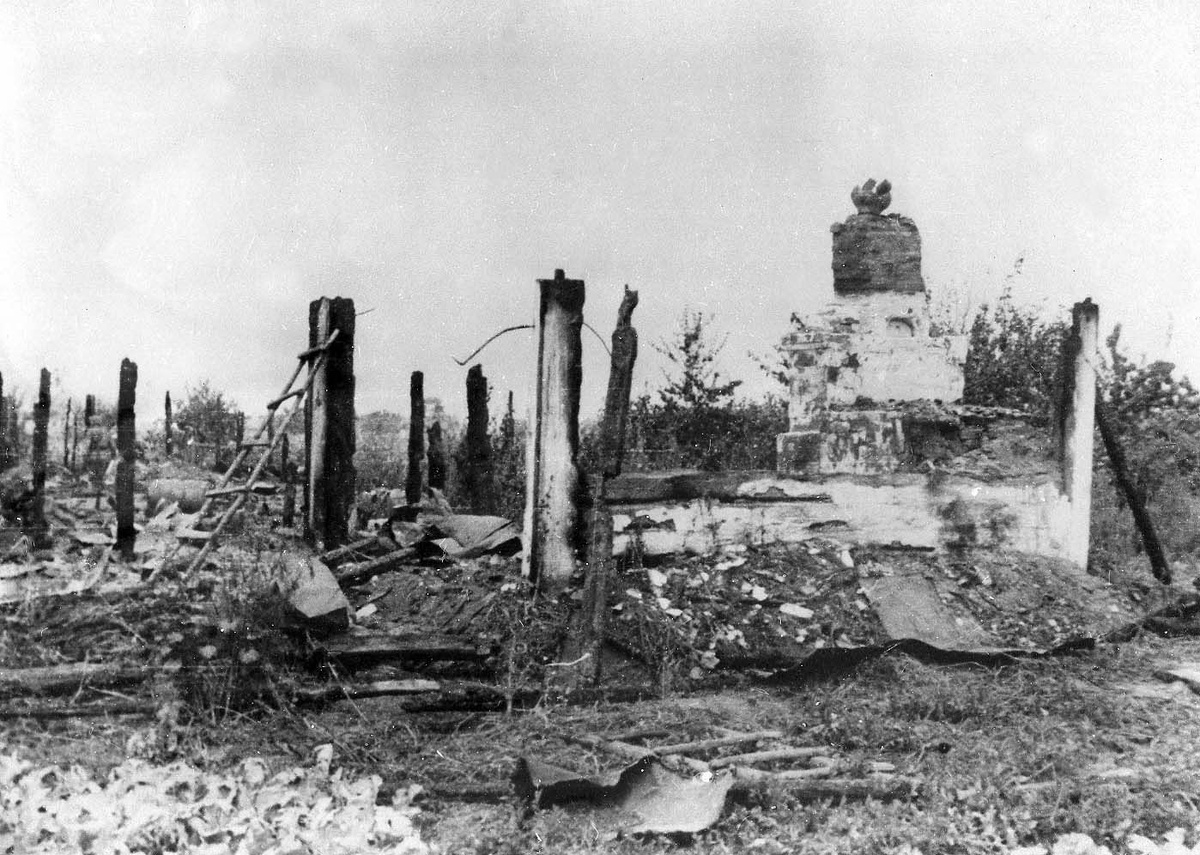 Фото из открытых источников