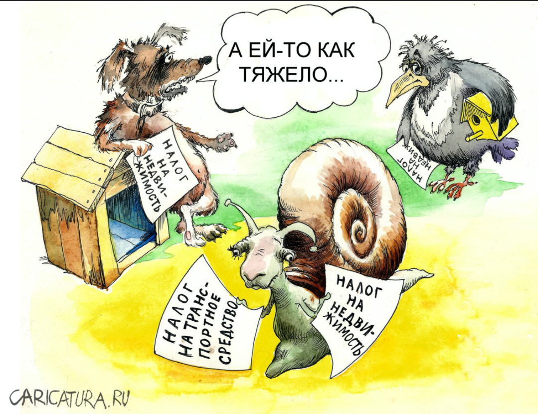 Картинка взята из интернета.