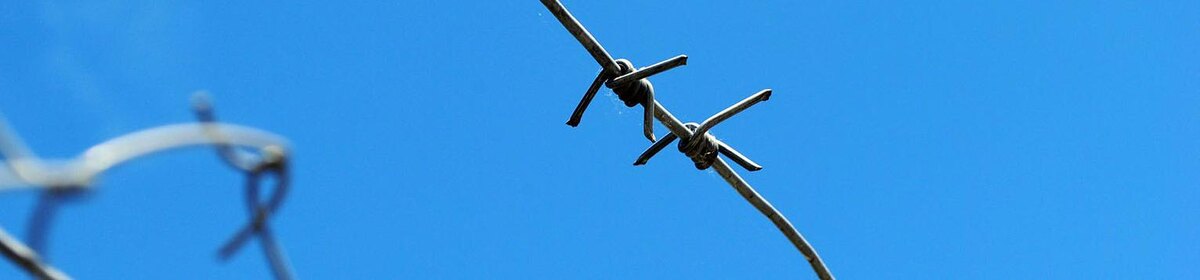    Фото: Оксана Булгакова