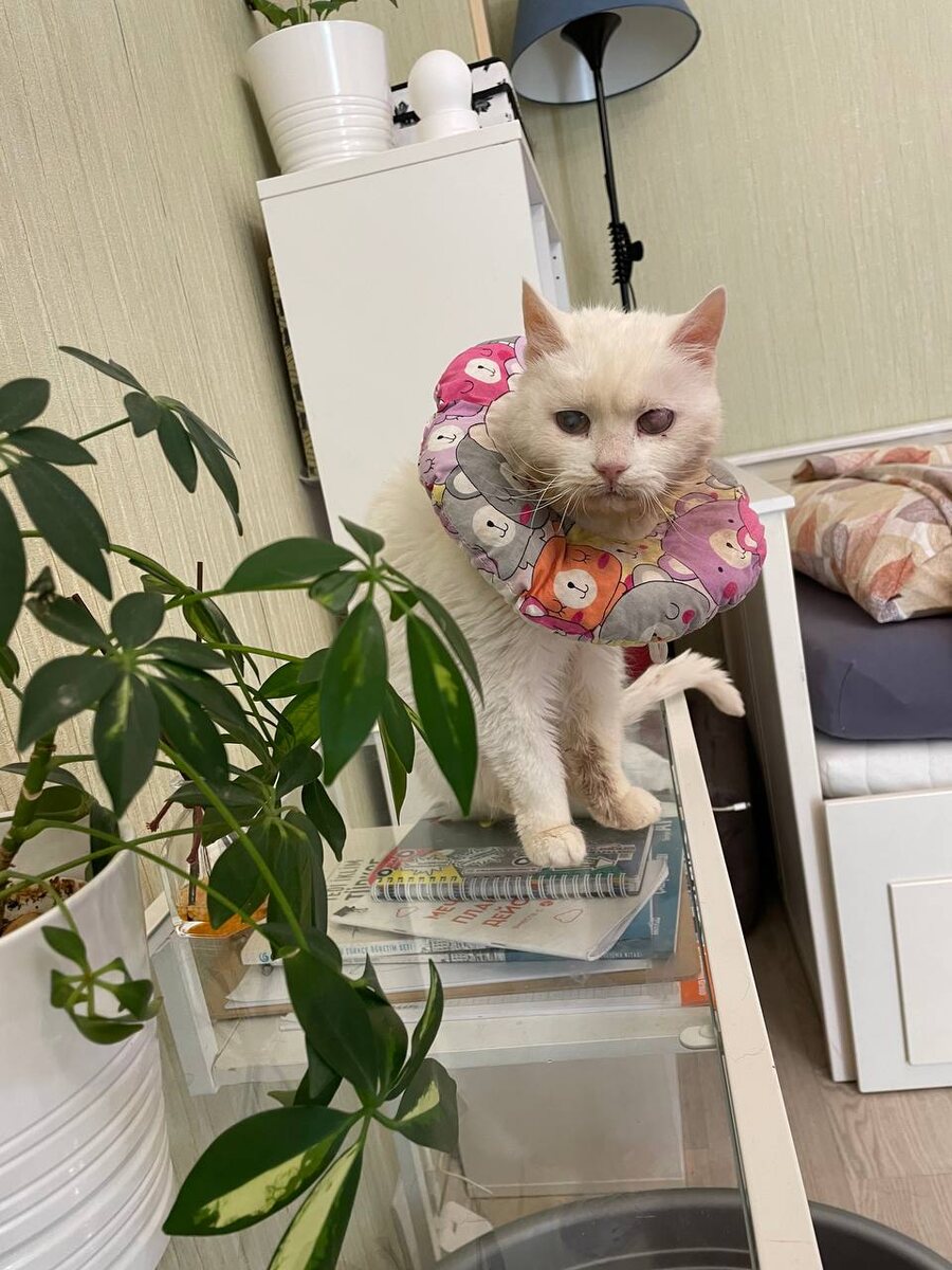 А мне кажется я вполне нормальная