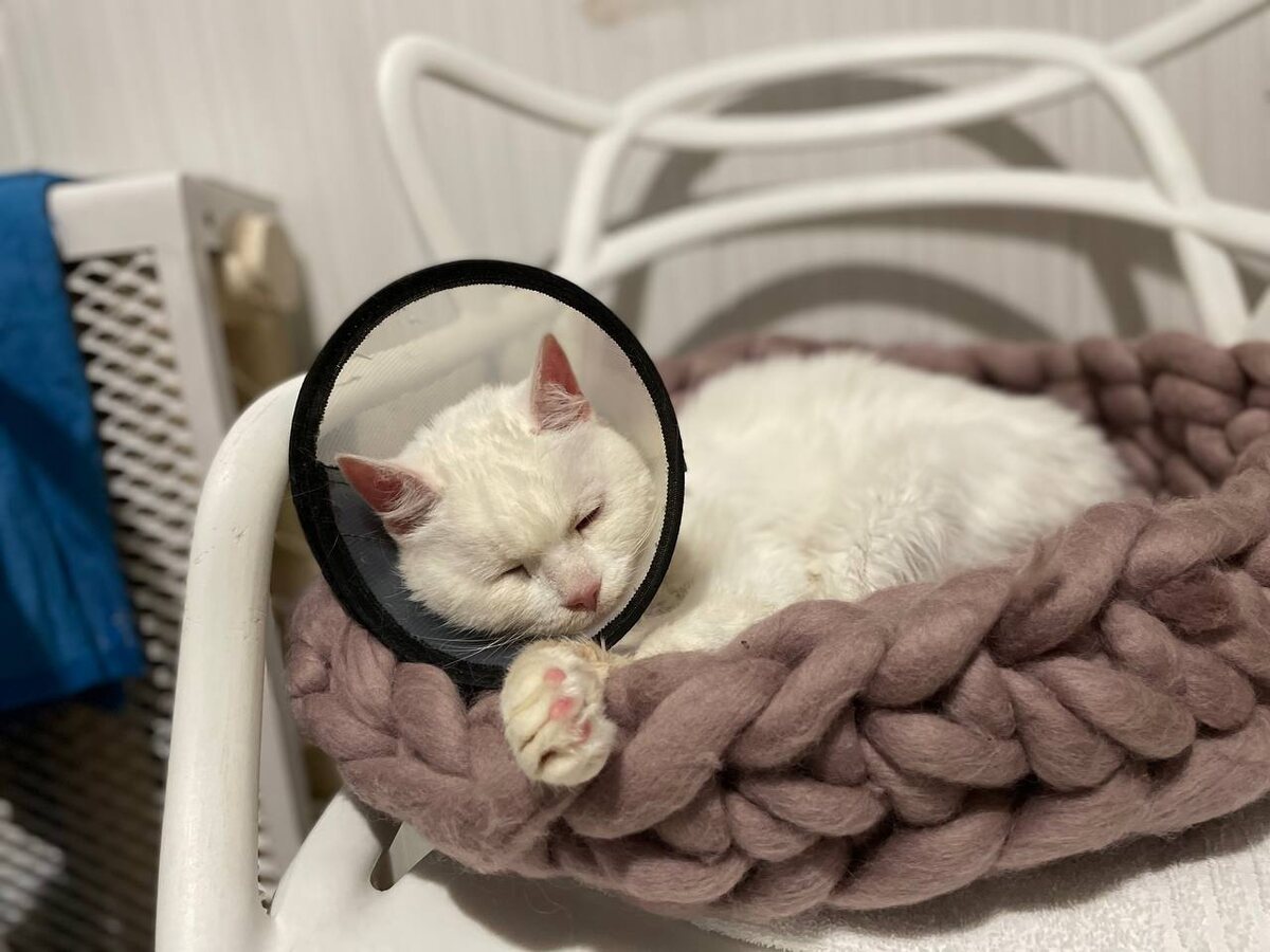 Но ведь мне плохо сделали люди, а не "неликвид"