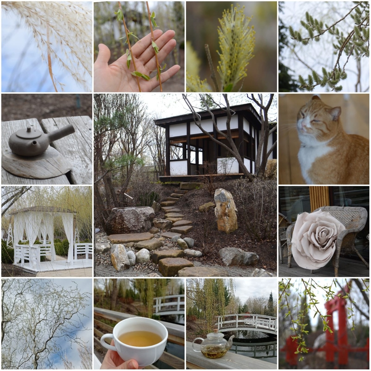 Фото автора Е.В. Гавриленко.