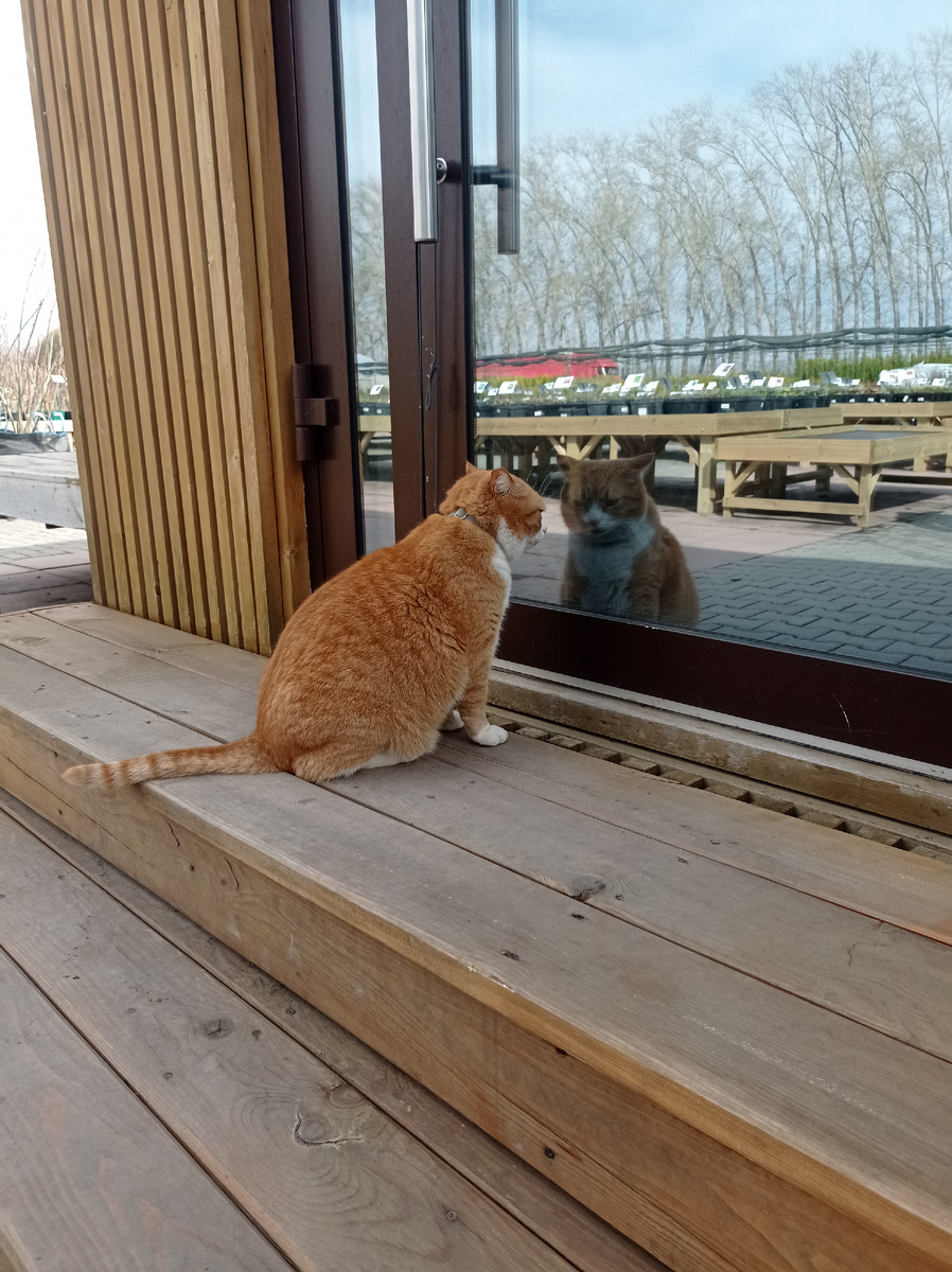 Фото автора.