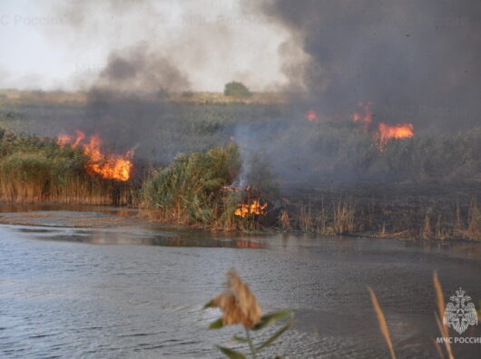    пожар у реки // фото: пресс-служба МЧС по Ростовской области
