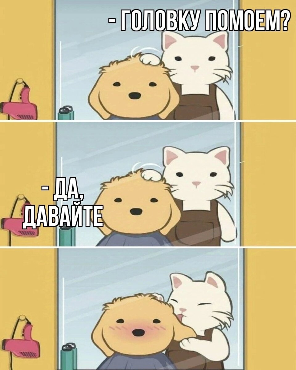 Не все истории мастера я готова услышать. Информационная гигиена для меня важна, и не всегда охота думать о чужой жизни после стрижки.