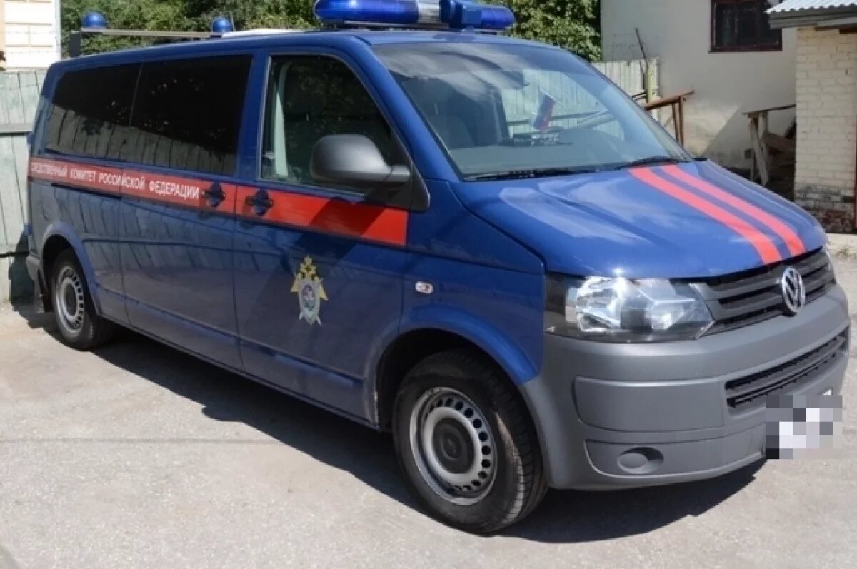    Проводится доследственная проверка.