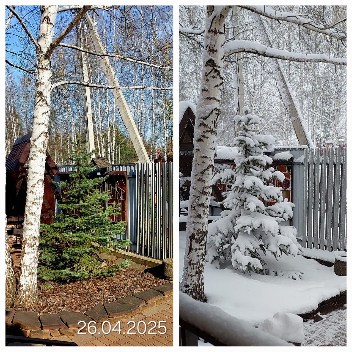 Такая вот весна. На выживание.