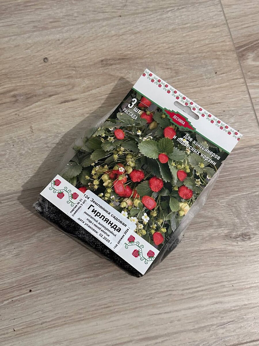 Лесника Земляника садовая Гирлянда