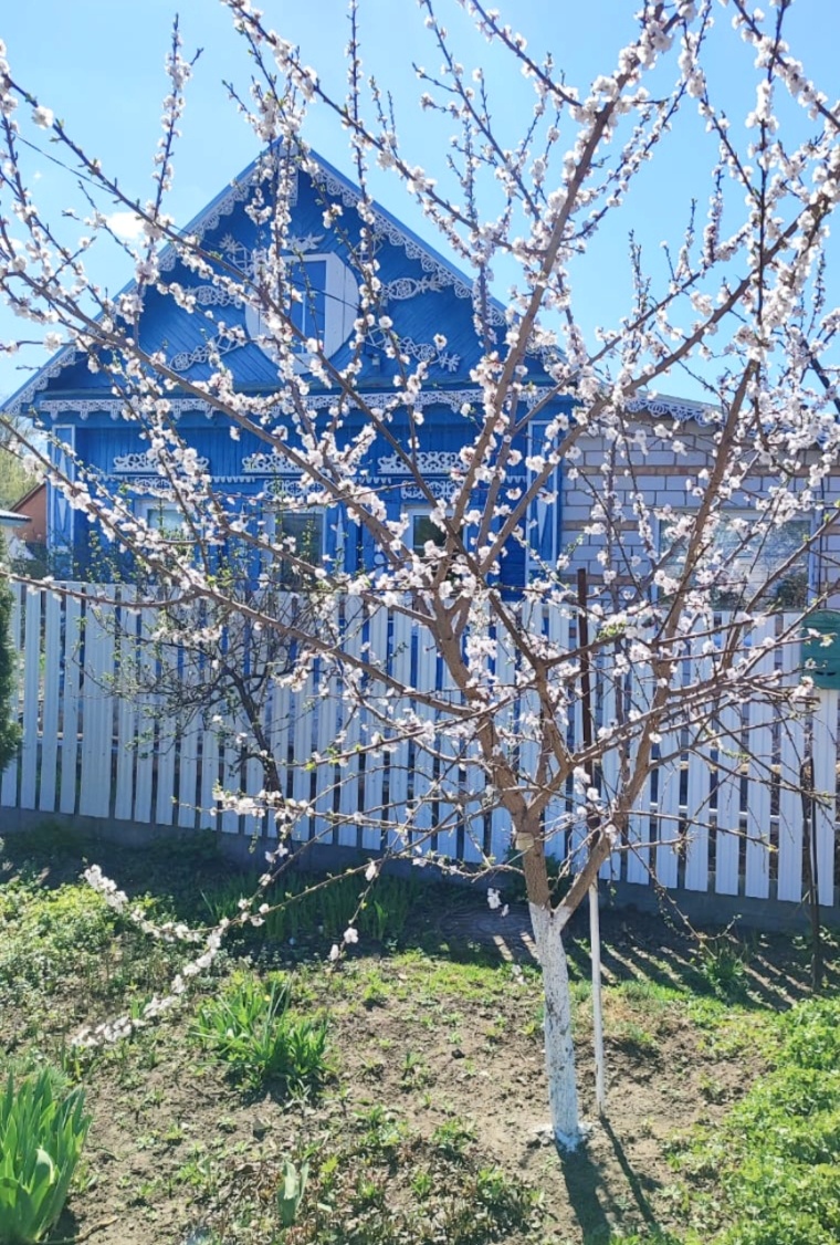 Автор фото Марина Никитина