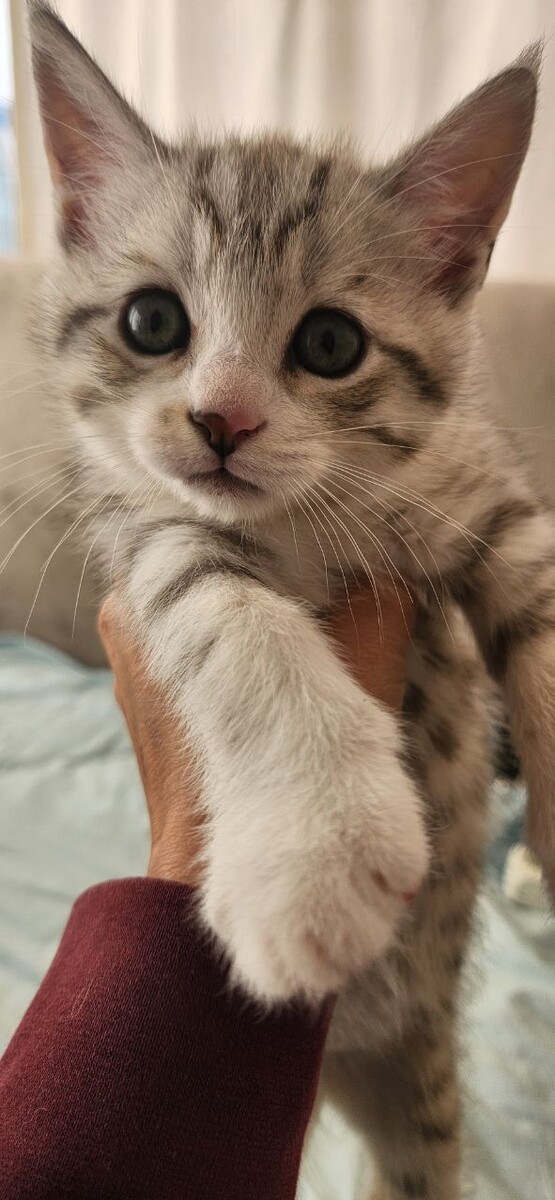 -Да ладно? А я и не знал!