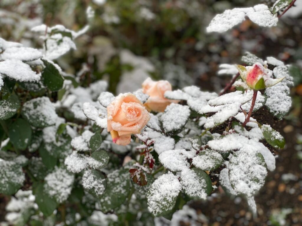    Фото: В курсе.ру Ульяна Бажанова