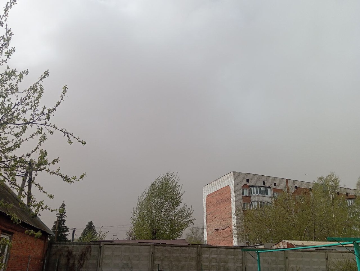    Фото: Дарья Якунина