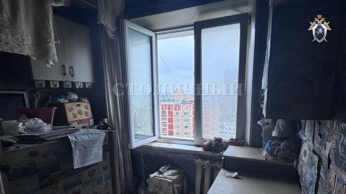    Фото: ГСУ СК России по Москве / Telegram