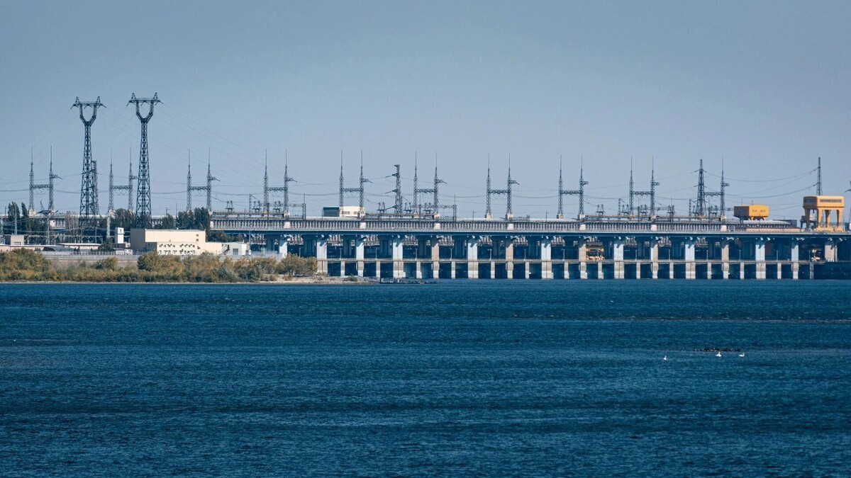     Источник: novostivolgograda.ru