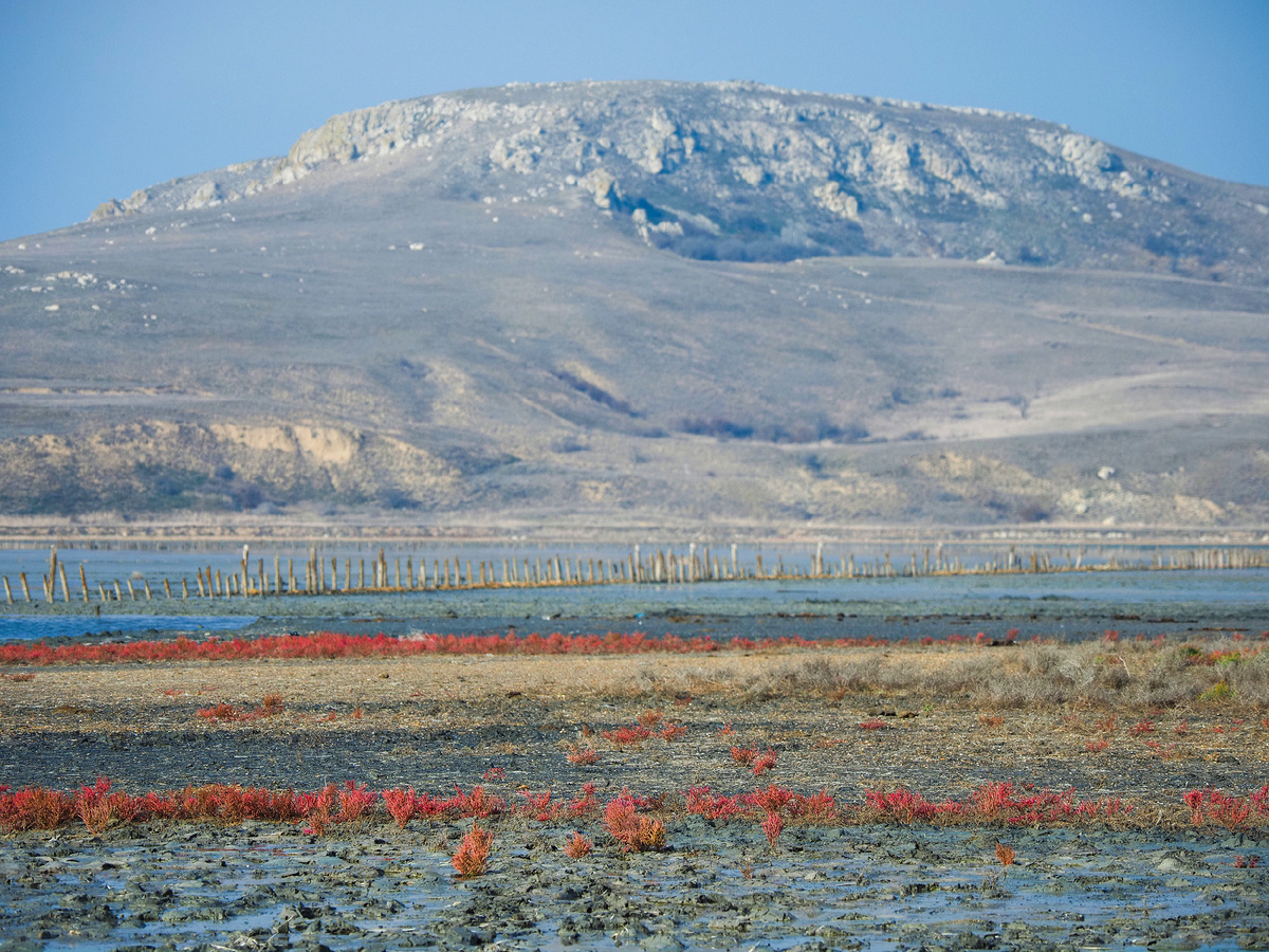 Озеро Чокрак в Крыму. Фото: М. Рябинин