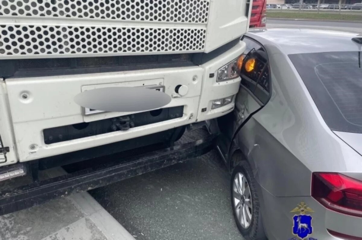 Случайное фото из сети