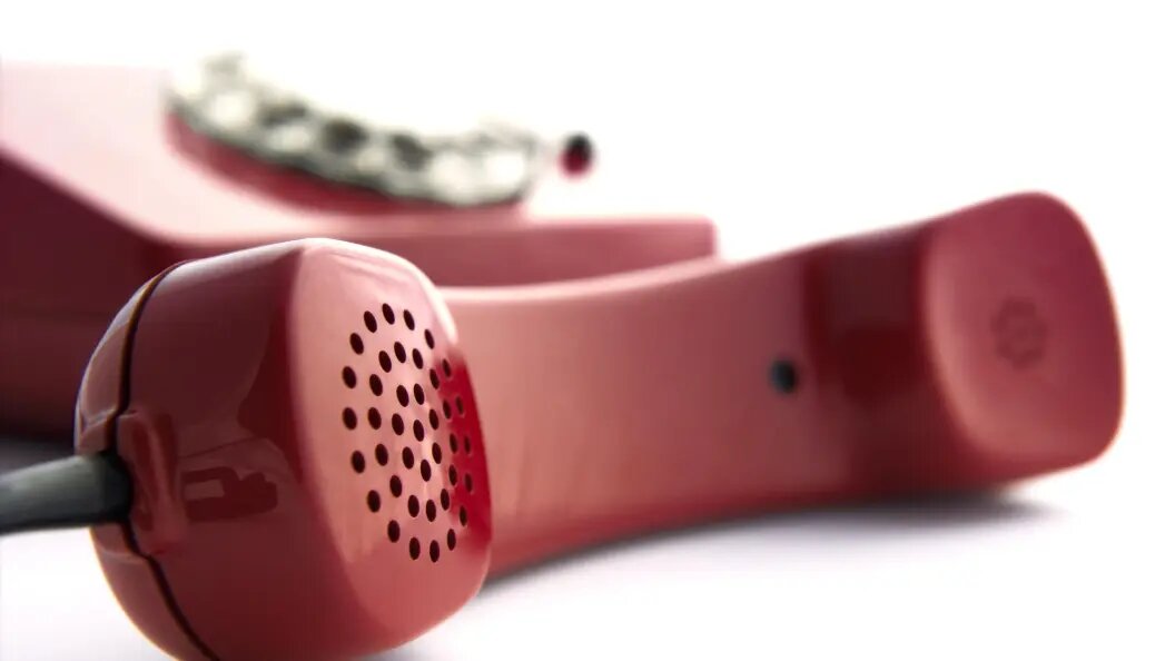    Фото: Albrecht Weißer/imageBROKER.com/Globallookpress