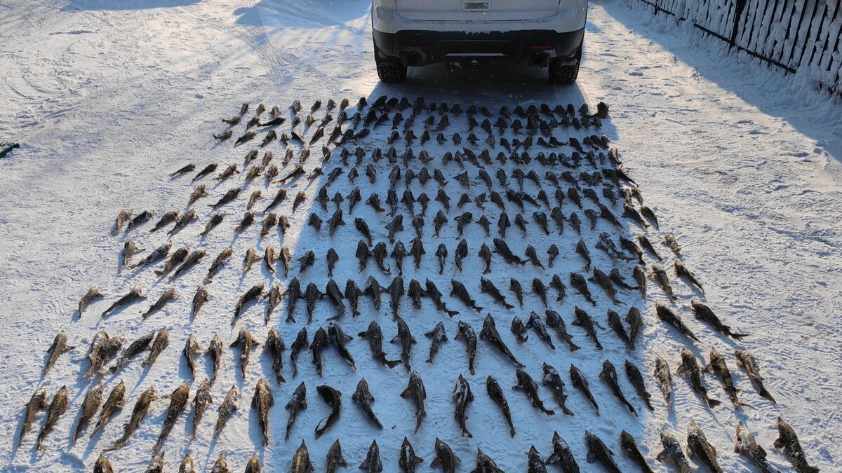    Фото предоставлено пресс-службой ПУ ФСБ России по Западному Арктическому району