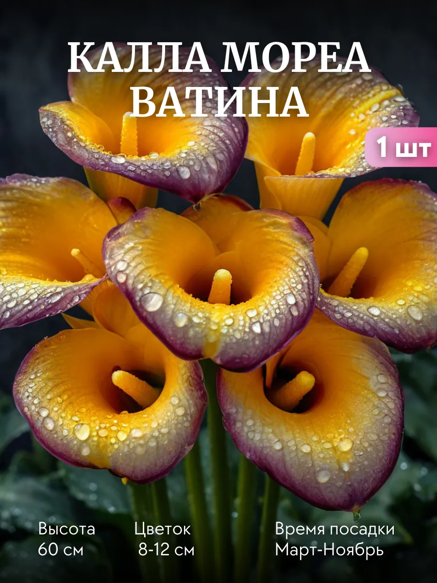 Вот такие вот необыкновенные каллы предлагают нам на маркетплейсах. 