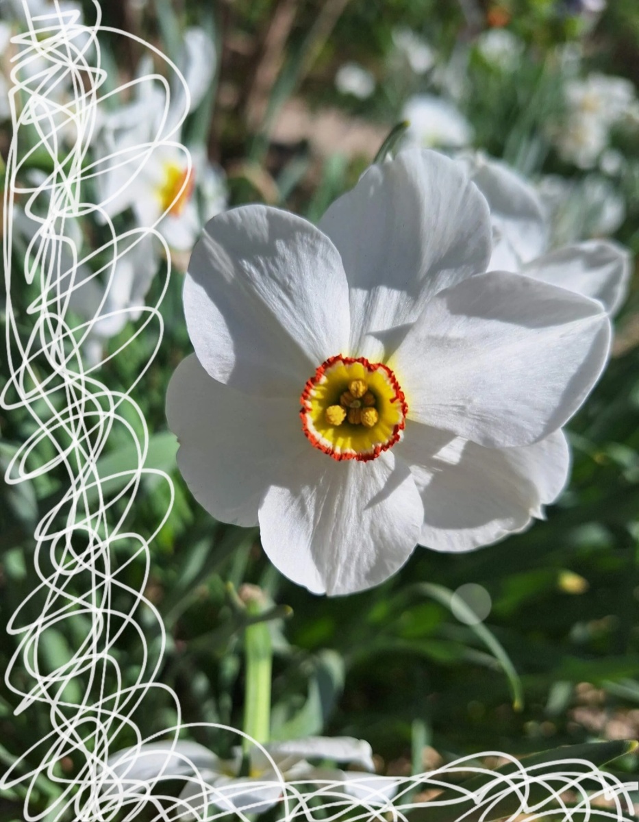 Фотоколлаж - собственность автора канала.