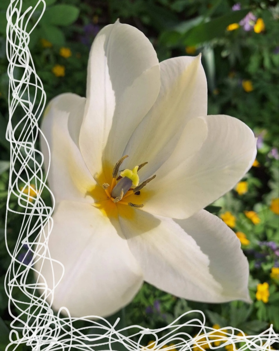 Фотоколлаж - собственность автора канала.