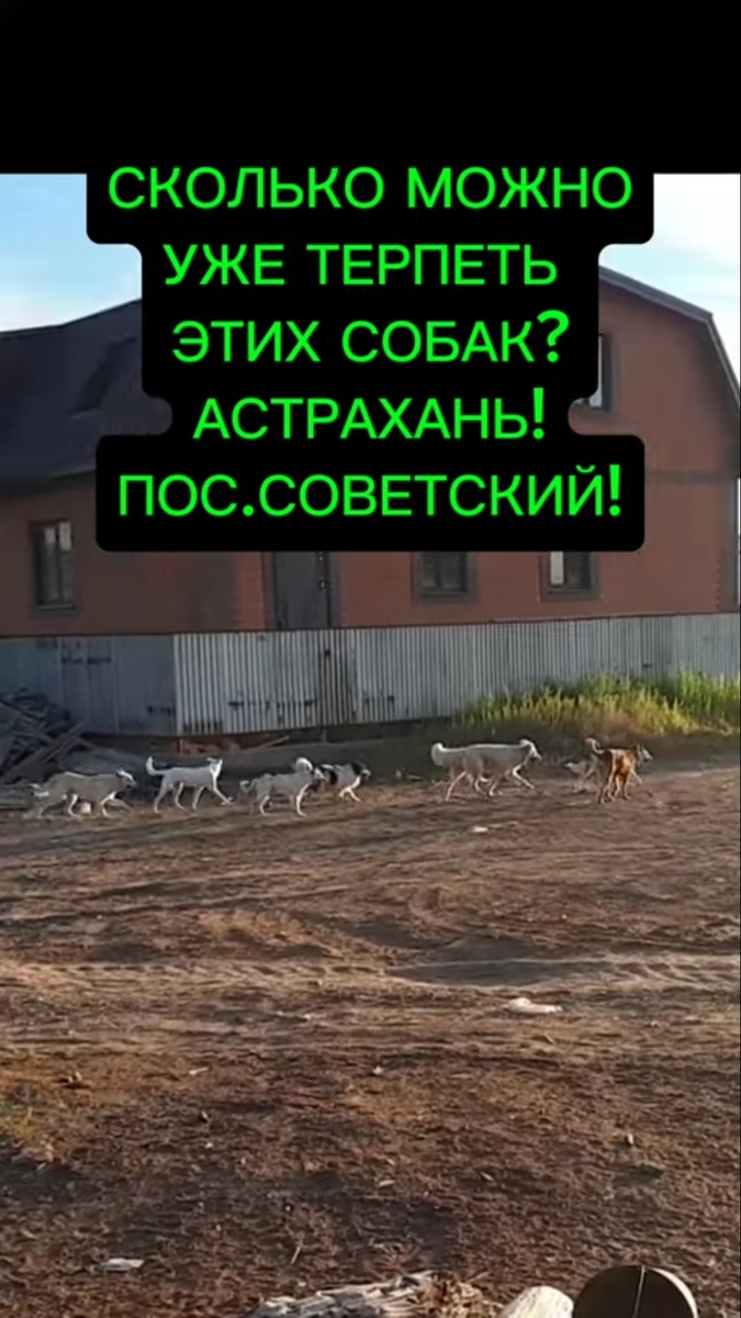 Фото из личного архива 