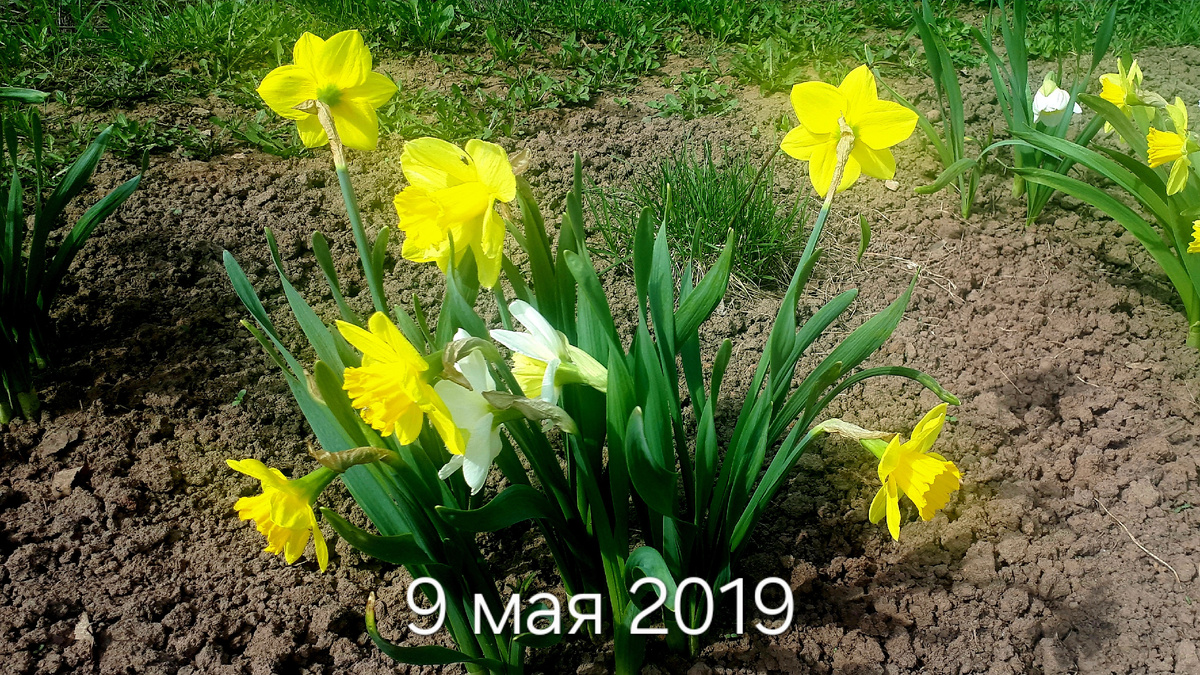 Первое фото в архиве