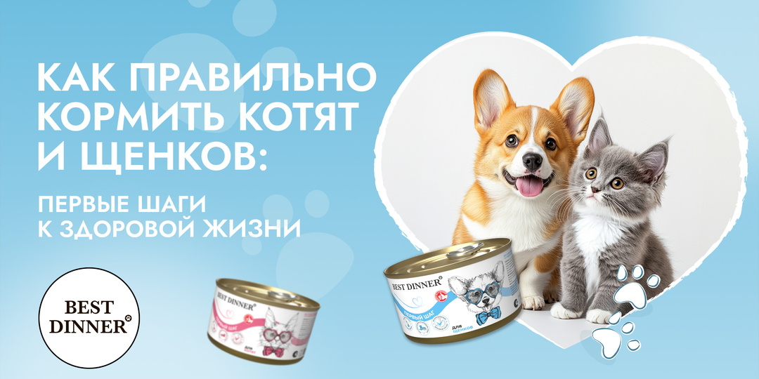 Как правильно кормить котят и щенков: первые шаги к здоровой жизни