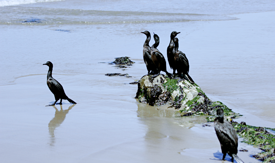 Снимок: fotosik.pl