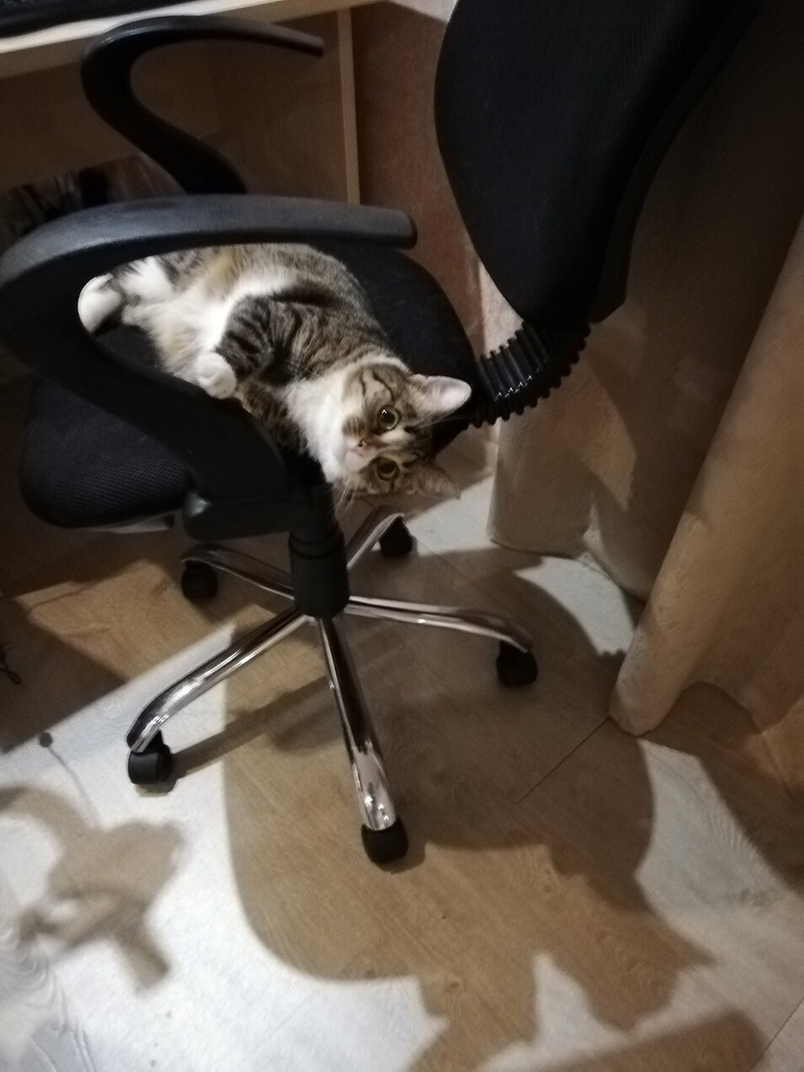 И когда, все-таки, платить какие-то налоги надо