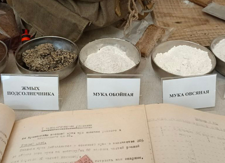 Витаминная мука и фильтры из крови: что разрабатывали ученые во время войны: статья на mk.ru