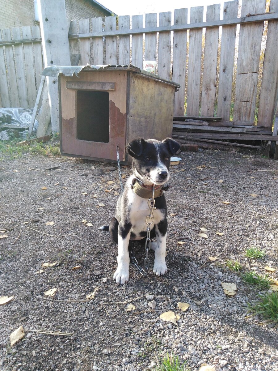 Малюсенькая Ася