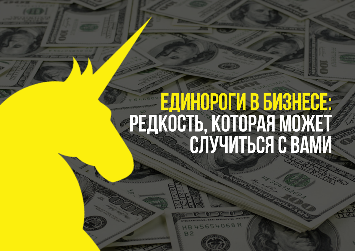 Павел Кудрявцев / Паша Жарит Бизнес / Кудрявцев Павел / Разборка По-Питерски