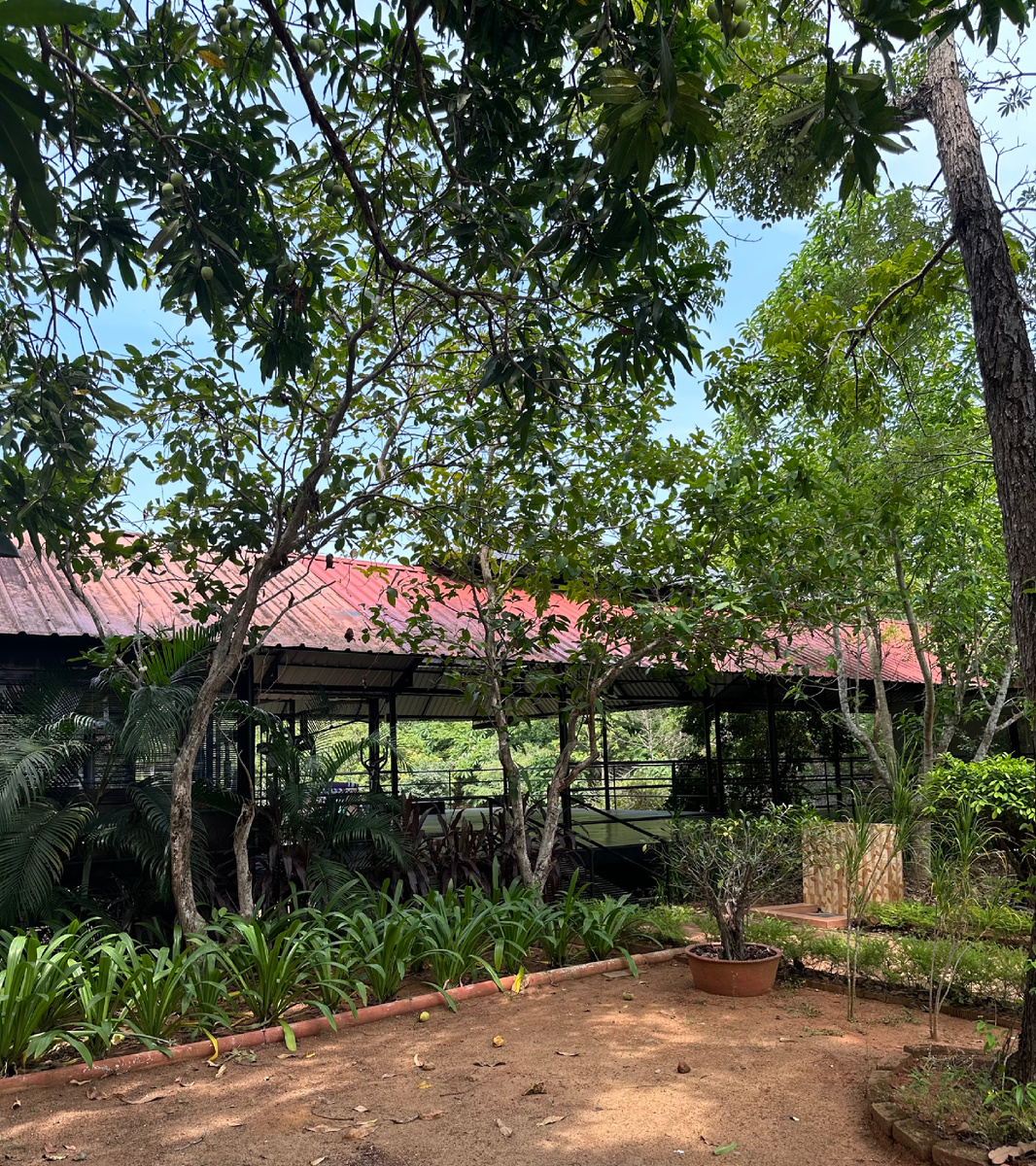 Площадка для занятий йогой. Фото Федоренкова В.