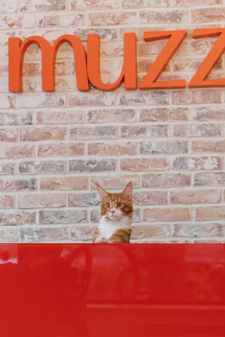  -- Мама, не стриги меня 😺