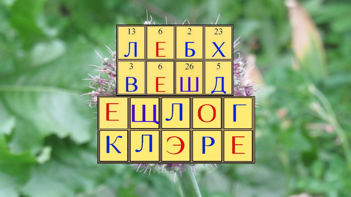 Листайте вправо будет подсказка и ответ.