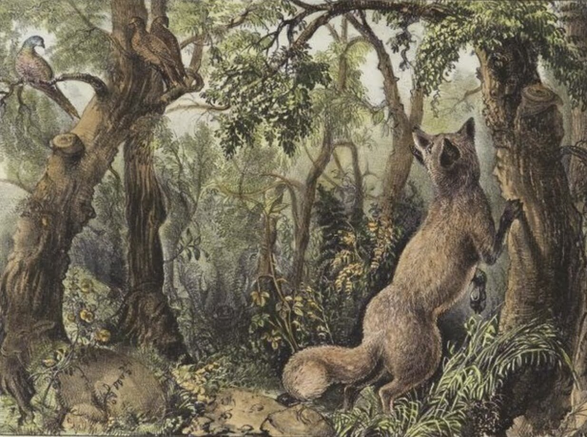 Object Creator Currier & Ives (American, 1834-1907) Object Creation Date 1872