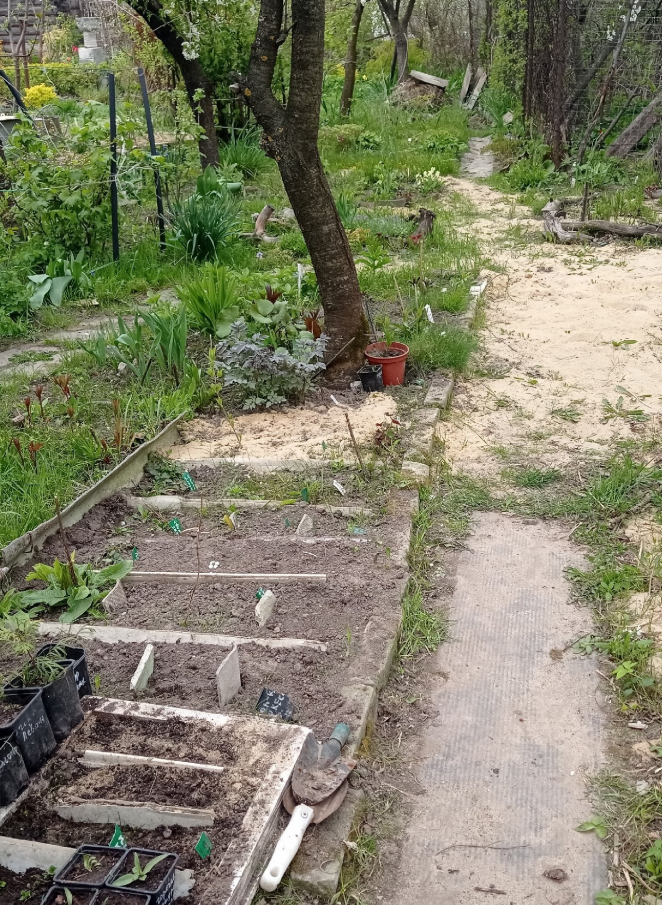 и сюда пристроила