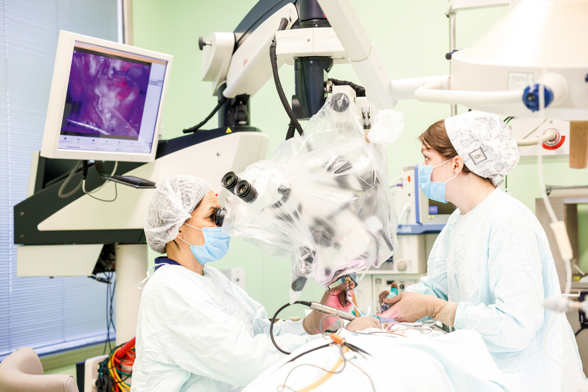 Фото: пресс-служба НИКИО им. Л. И. Свержевского